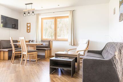 Urlaub am Bauernhof in Flachau, modernes Appartement am Bio-Bauernhof Burnstein