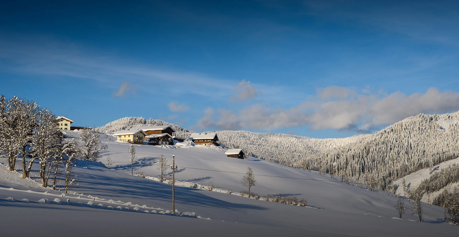 Appartement in Flachau, Urlaub am Bauernhof Burstein
